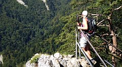 436_TZ60_P1140817_cr