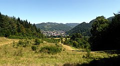 453_TZ60_P1140818_cr