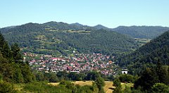 454_TZ60_P1140819_cr