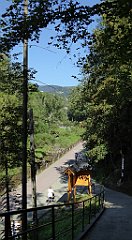 493_TZ60_P1140842_cr