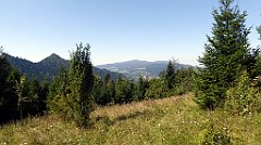 511_TZ60_P1140845_cr