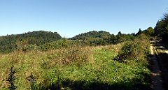 532_TZ60_P1140861_cr