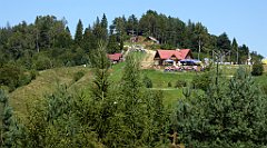 555_TZ60_P1140888_cr