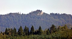 586_TZ60_P1140904_cr