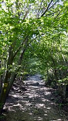 594_TZ60_P1140906_cr