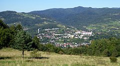 597_TZ60_P1140909_cr