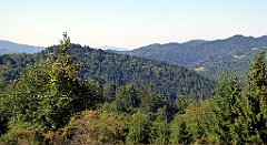 627_TZ60_P1140929_cr