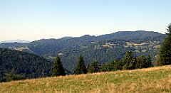 640_TZ60_P1140936_cr