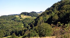 647_TZ60_P1140945_cr