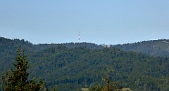 650a_TZ60_P1140954_cr