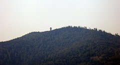 659_TZ60_P1140956_cr