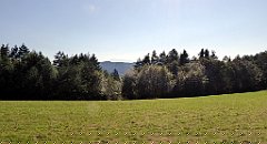 666_TZ60_P1140957_cr