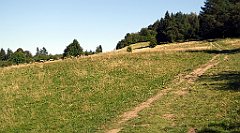 685_TZ60_P1140971_cr