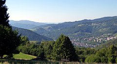 694_TZ60_P1140974_cr