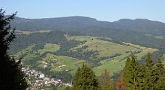 710_TZ60_P1140985_cr