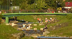 878_TZ60_P1150012_cr