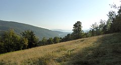 016_TZ60_P1150091_cr