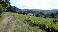 155_TZ60_P1150153_cr