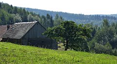 158_TZ60_P1150156_cr