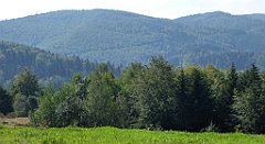 160_TZ60_P1150158_cr