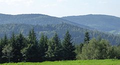 162_TZ60_P1150162_cr