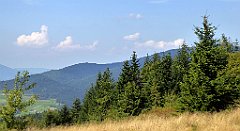 181_TZ60_P1150181_cr