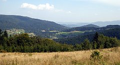 183_TZ60_P1150183_cr