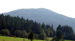 298_TZ60_P1150235_cr