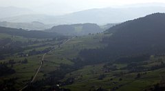 319_TZ60_P1150239_cr