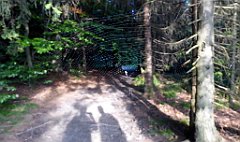 346_TZ60_P1150256_cr