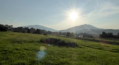 359_TZ60_P1150271_cr