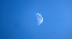 361b_TZ60_P1150275_cr