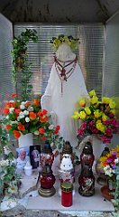 0006_TZ60_P1150288_cr