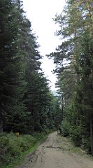 0024_TZ60_P1150304_cr