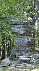 0080_TZ60_P1150341_cr