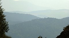 0084_TZ60_P1150345_cr