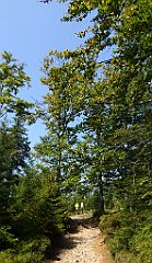 0171_TZ60_P1150412_cr