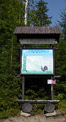 0175_TZ60_P1150416_cr