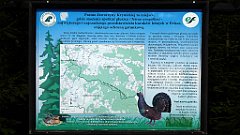 0176_TZ60_P1150417_cr