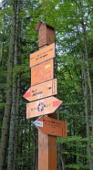 0192_TZ60_P1150425_cr