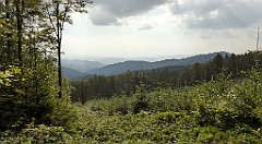 0212_TZ60_P1150436_cr