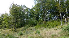 0215_TZ60_P1150440_cr