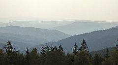 0221_TZ60_P1150449_cr