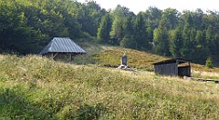 0247a_TZ60_P1150463_cr