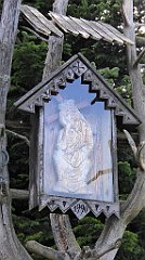 0260_TZ60_P1150472_cr