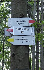 0306_TZ60_P1150517_cr