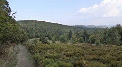 0312_TZ60_P1150523_cr