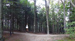 0364a_TZ60_P1150543_cr