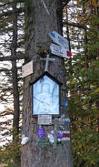 0397_TZ60_P1150564_cr