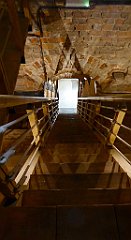 120_TZ60_P1150705_cr